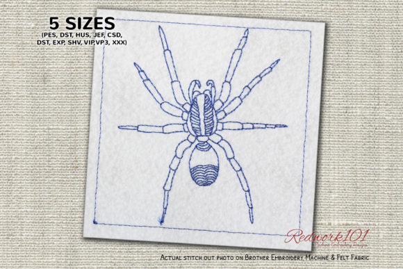 Ugly and Hairy Wolf Spider Redwork